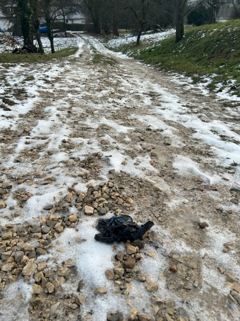 schwarzer Kotbeutel Hundekot gefüllt mitten auf dem Weg Hinterlassenschaft Kiesweg